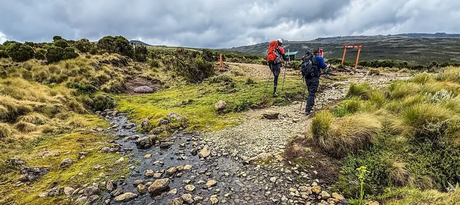 AllTrails captures the essence of the outdoors in new campaign